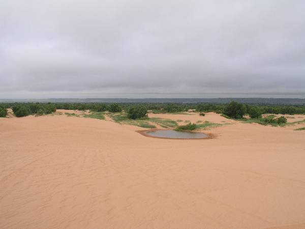 Little Sahara State Park (3/18/2009 - Credits: OFMO)