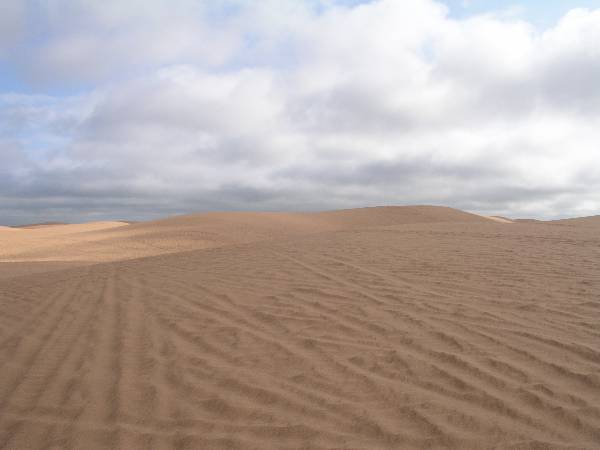 Little Sahara State Park (3/18/2009)