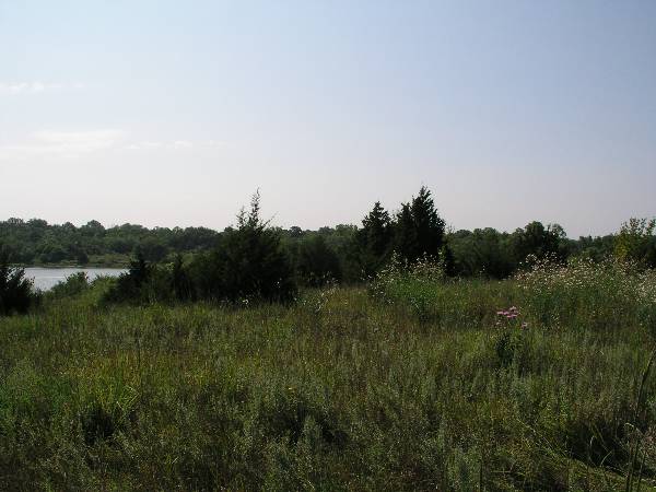 Amen Farm (6/4/2009)