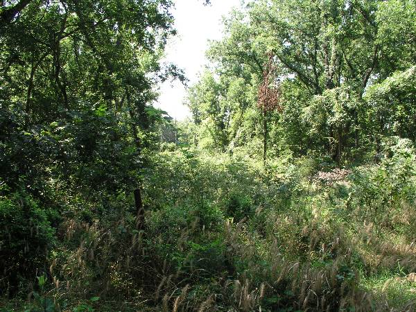 Amen Farm (6/4/2009)