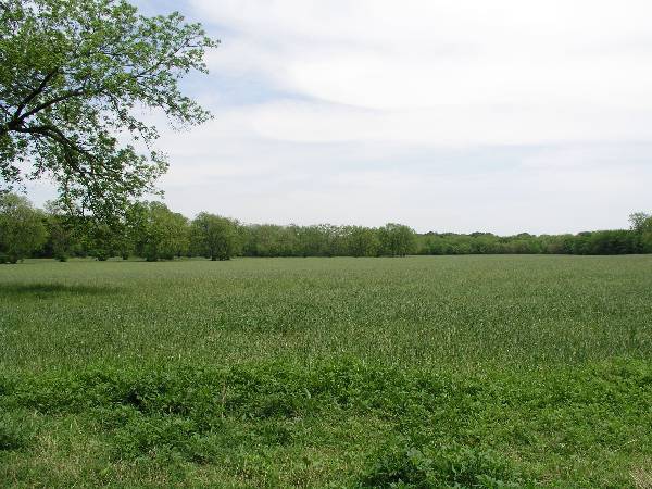 Sugarloaf Ranch (6/24/2009)