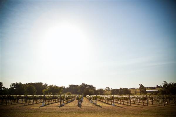 Ingel's Winery (2/26/2014 - Credits: Oklahoma Tourism - TravelOK)