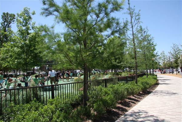 Myriad Botanical Gardens (7/7/2014)