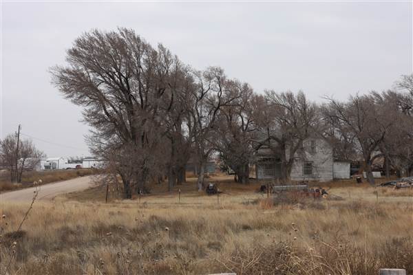 Stout House (12/18/2014 - Credits: Yousef Kazemi)