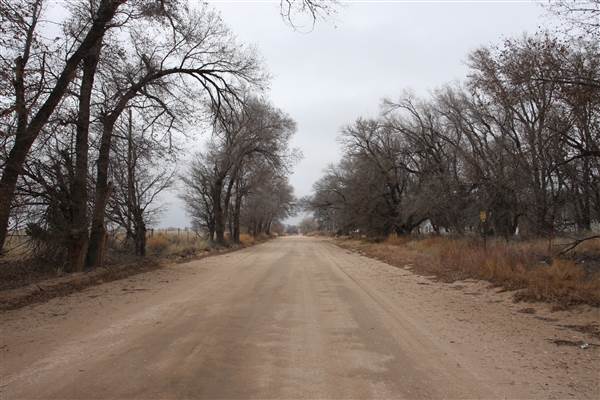 Nightmare in the Country - Kenton Ranch (12/10/2014 - Credits: Yousef Kazemi)
