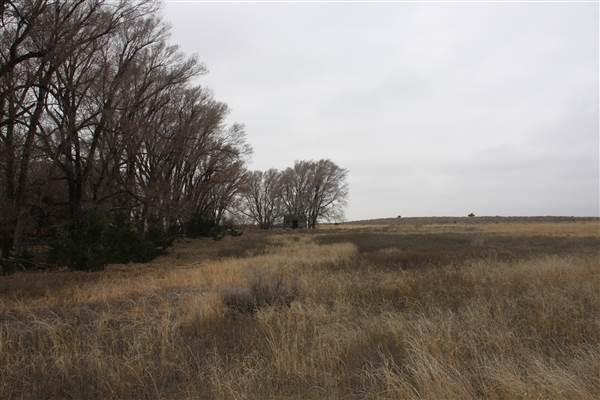 Nightmare in the Country - Kenton Ranch (12/10/2014 - Credits: Yousef Kazemi)