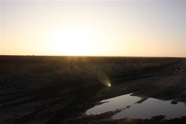 Hwy 412/36 - Guymon Area (12/11/2014 - Credits: Yousef Kazemi)