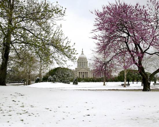 Oklahoma State Capitol (2/19/2015)