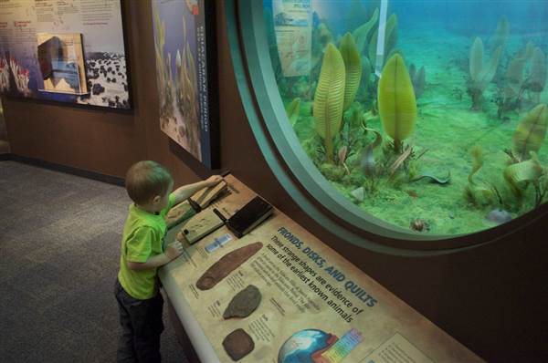 Sam Noble Oklahoma Museum of Natural History (2/19/2015)