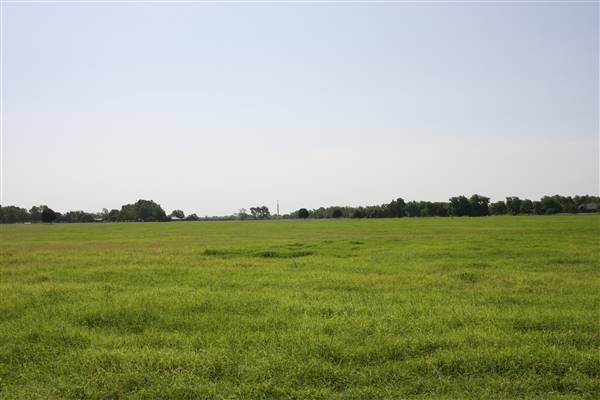 NFL Farms - POLO FIELD - Another huge area of stables located west of the offices/houses/main pens across the old polo field, but I wasn't able to photograph as there were unsecured watch dogs. Can photograph at a later date (7/2/2015 - Credits: Yousef Kazemi)
