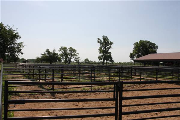 NFL Farms (7/2/2015 - Credits: Yousef Kazemi)