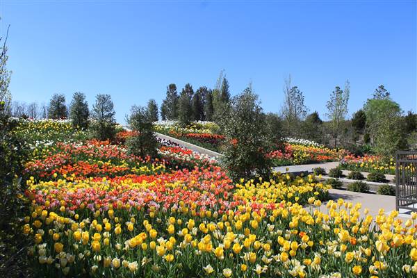 Tulsa Botanic Garden