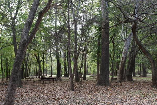 Camp DaKaNi (10/20/2017 - Credits: Christa Whetstone (intern))
