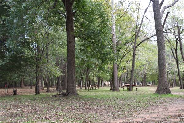 Camp DaKaNi (10/20/2017 - Credits: Christa Whetstone (intern))