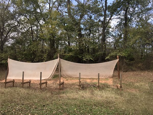 Camp DaKaNi (10/20/2017 - Credits: Yousef Kazemi)