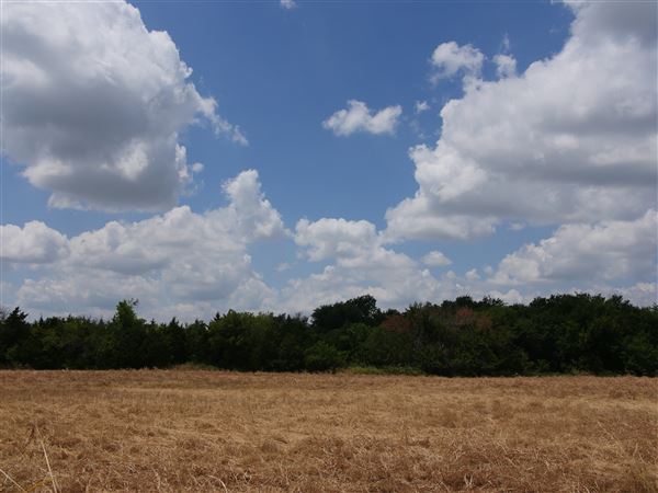 Stinchcomb Wildlife Refuge (7/31/2018 - Credits: Noah Janoe)