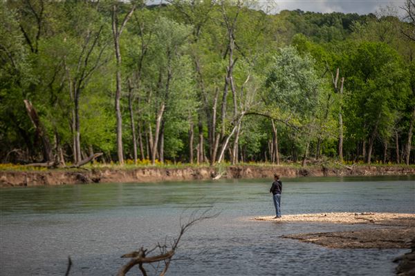 Sequoyah Club Drive & River Access