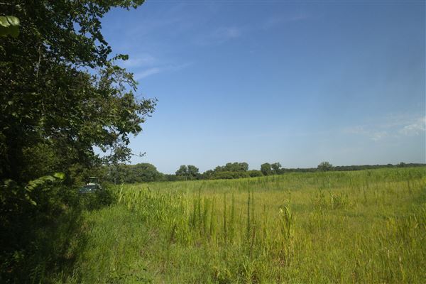 Rydell Ranch - field 1 - deciduous forest land and gentle rolling sandy farm land near a river bed (7/28/2021 - Credits: Jeffrey Rydell)