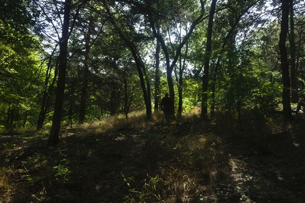 Rydell Ranch - field 1 - deciduous forest land and gentle rolling sandy farm land near a river bed (7/28/2021 - Credits: Jeffrey Rydell)
