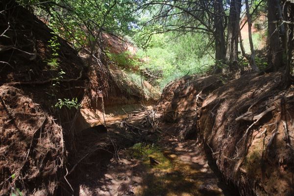 Rydell Ranch - field 2 - 2 mounds with 100' deep "red rock" canyons in between  visibility of up to 30 miles from the top of the mound Covered in mostly in eastern red cedar and some oak trees with native grasses. features slot canyons and waterfalls.  (7/28/2021 - Credits: Jeffrey Rydell)