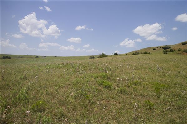 Rydell Ranch - field 2 - 2 mounds with 100' deep "red rock" canyons in between  visibility of up to 30 miles from the top of the mound Covered in mostly in eastern red cedar and some oak trees with native grasses. features slot canyons and waterfalls.  (7/28/2021 - Credits: Jeffrey Rydell)