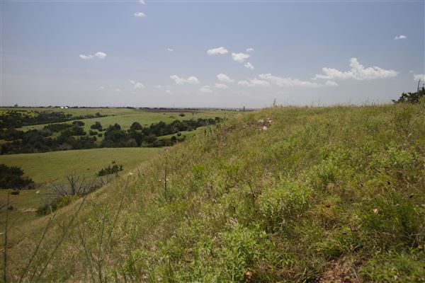 Rydell Ranch - field 2 - 2 mounds with 100' deep "red rock" canyons in between  visibility of up to 30 miles from the top of the mound Covered in mostly in eastern red cedar and some oak trees with native grasses. features slot canyons and waterfalls.  (7/28/2021 - Credits: Jeffrey Rydell)