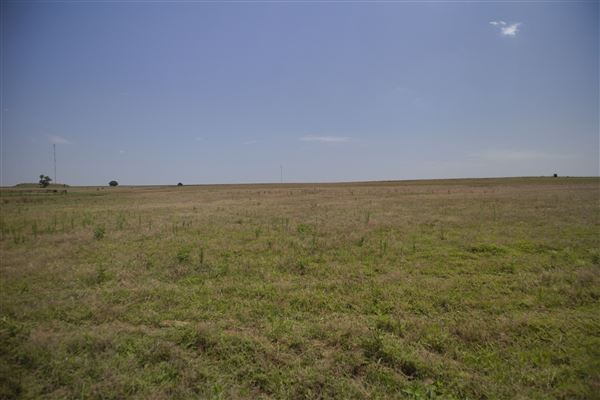 Rydell Ranch - field 3 - Clear cut rolling farmland with views of up to 30 miles few trees (7/28/2021 - Credits: Jeffrey Rydell)