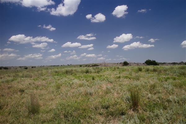 Rydell Ranch - field 6 Rolling farmland with deep canyons, large pond and  Covered in mostly in eastern red cedar and oak trees with native grasses. features slot canyons and waterfalls. (7/28/2021 - Credits: Jeffrey Rydell)