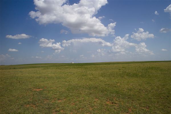 Rydell Ranch - field 7 - Clear cut rolling farmland with few trees. (7/28/2021 - Credits: Jeffrey Rydell)