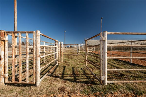 Bob Arrington Rodeo Arena (2/10/2022 - Credits: Shane Brown)