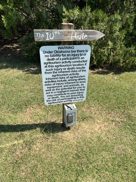 Nellis Vineyards (6/22/2022 - Credits: Yousef Kazemi / OFMO)