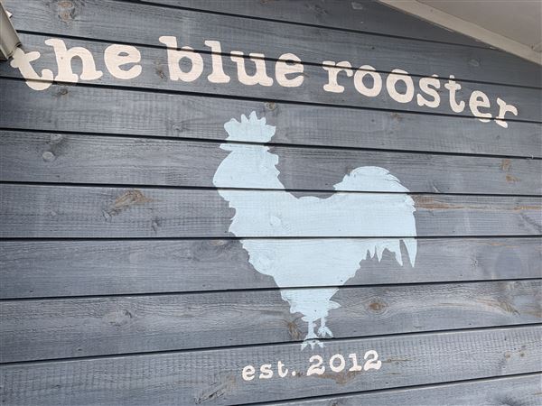 The Blue Rooster (3/22/2022 - Credits: Charity O'Donnell)