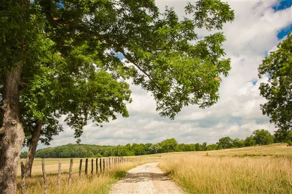 The Rockin J Ranch (6/6/2021 - Credits: Rick Stiller Photography)