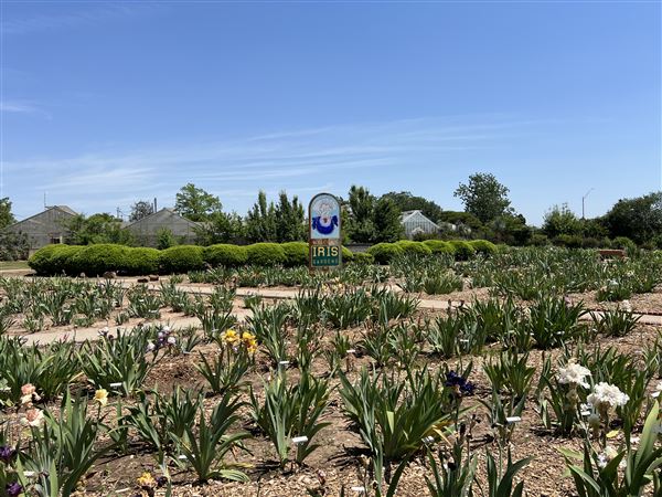 Will Rogers Gardens (5/14/2025 - Credits: Yousef Kazemi / OF+MO)
