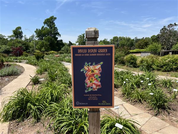 Will Rogers Gardens (5/14/2025 - Credits: Yousef Kazemi / OF+MO)