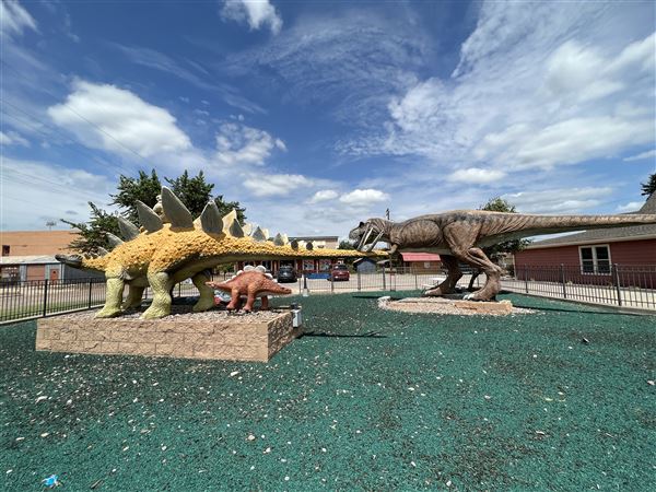 Dinosaur Photo Park (8/25/2023 - Credits: Yousef Kazemi / OF+MO)