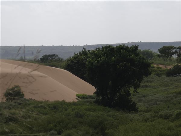America's Oasis (7/7/2025)