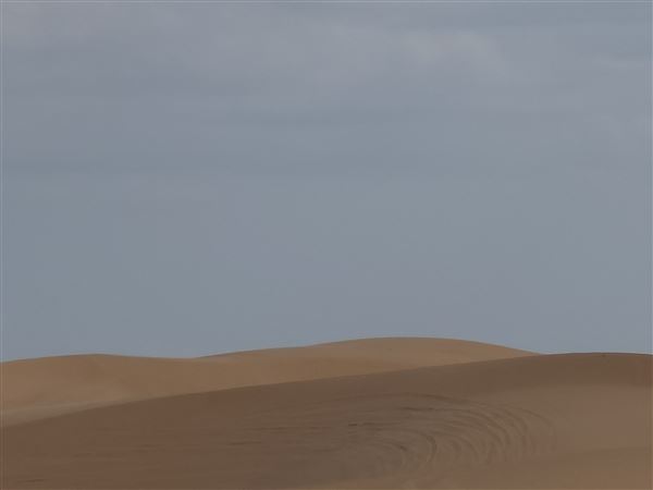 America's Oasis (7/7/2025)