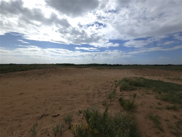 America's Oasis (7/7/2025)