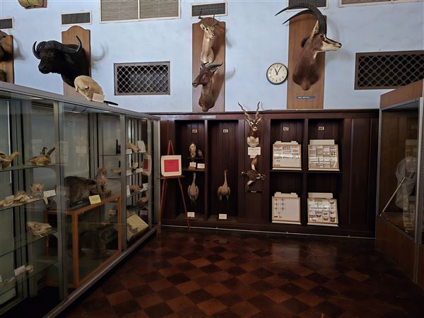 Northwestern Oklahoma State University Museum (7/2/2025 - Credits: Jeremy Zeller)