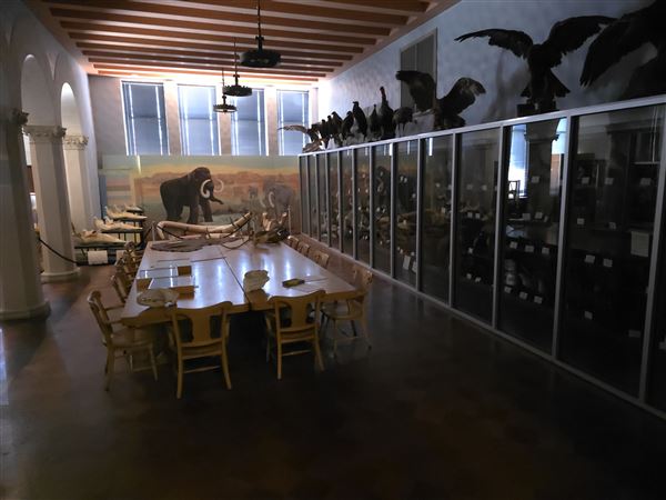 Northwestern Oklahoma State University Museum (7/2/2025 - Credits: Jeremy Zeller)