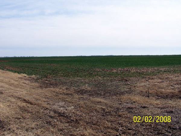 Hwy 64 (2/6/2009)