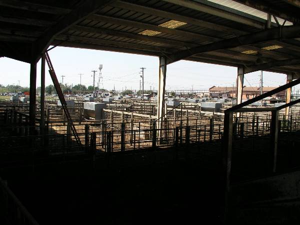 Oklahoma City Stockyards (2/9/2009)