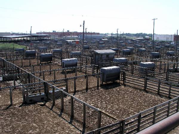 Oklahoma City Stockyards (2/9/2009)