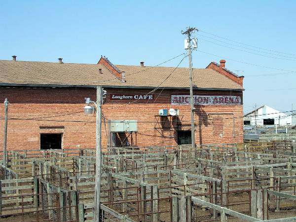 Oklahoma City Stockyards (2/9/2009)