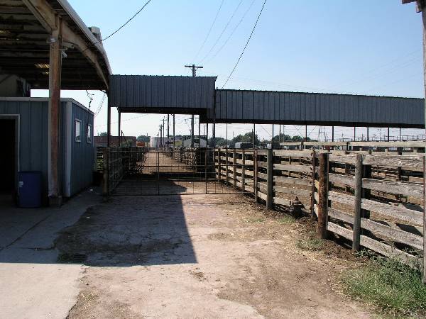 Oklahoma City Stockyards (2/9/2009)