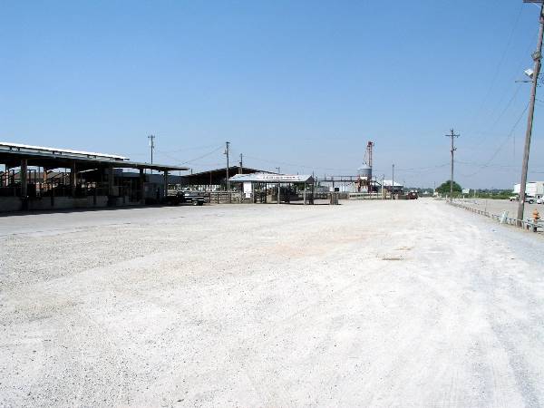 Oklahoma City Stockyards (2/9/2009)