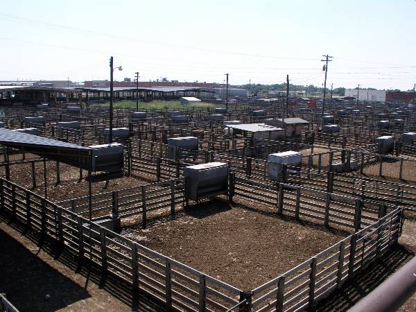 Oklahoma City Stockyards (2/9/2009)