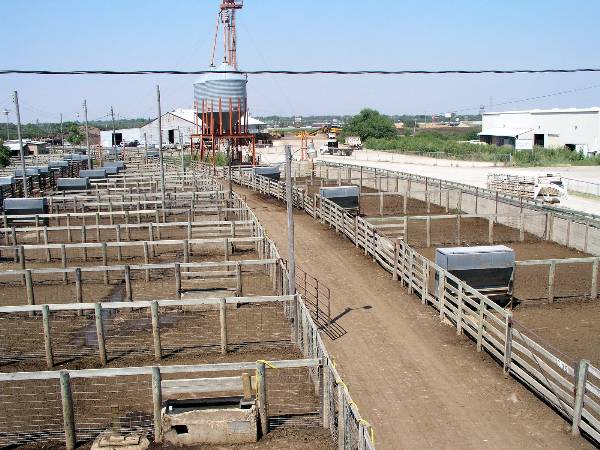 Oklahoma City Stockyards (2/9/2009)