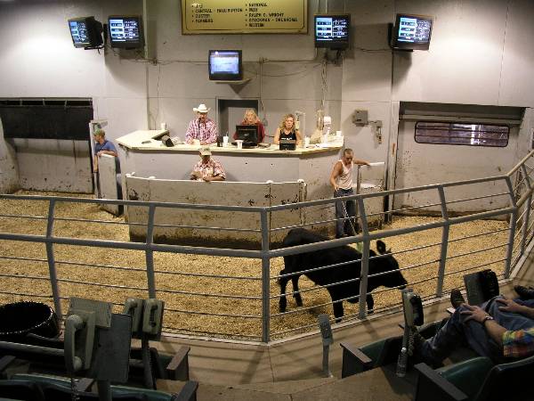 Oklahoma City Stockyards (2/9/2009)
